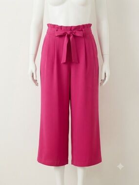 Zara Cropped Wide-Leg Paperbag Waist Pants in Pink